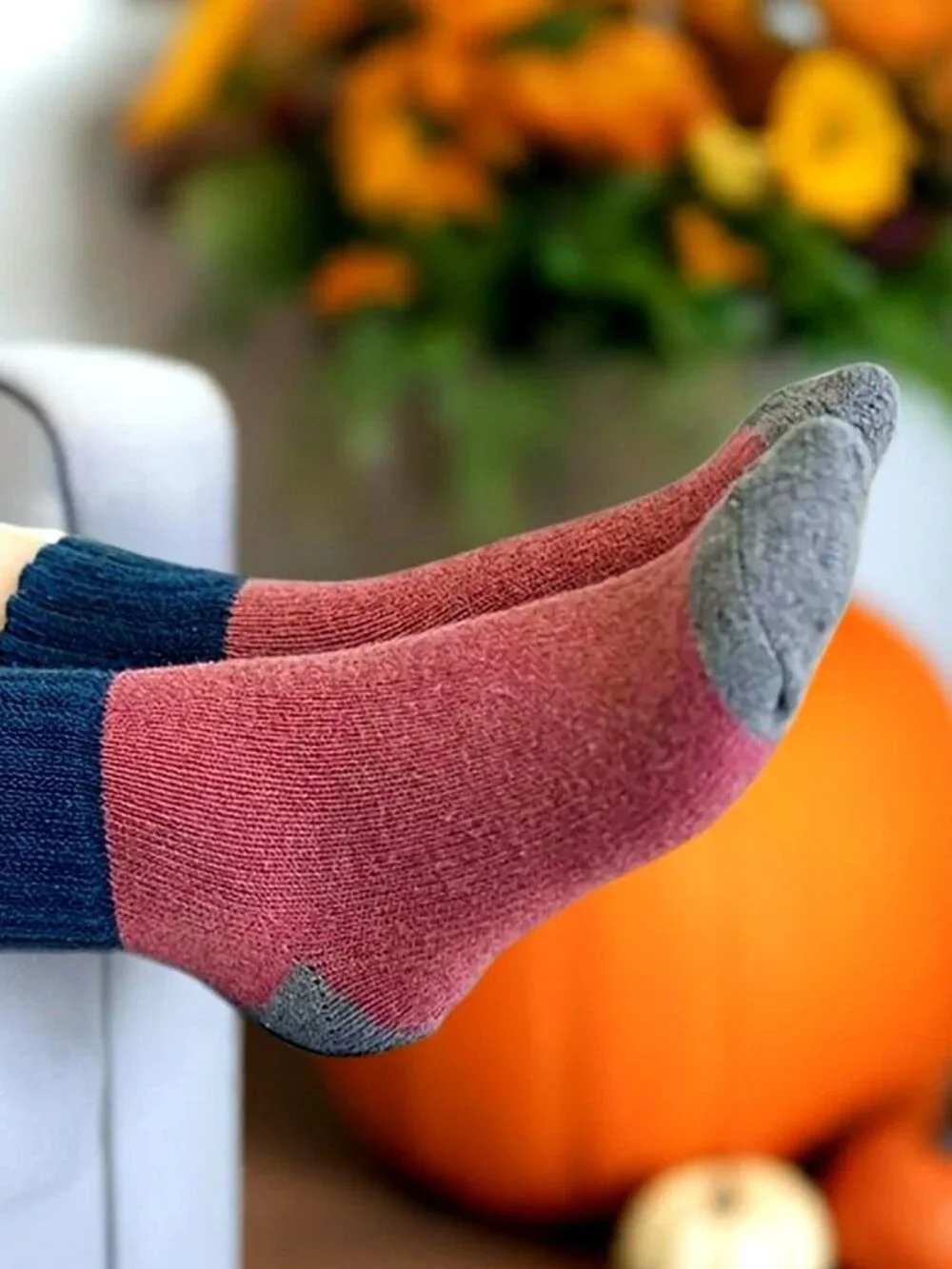 Chelsea Colorblock Womens Crew Socks Beige with Brown and Gray Gift Packaged
